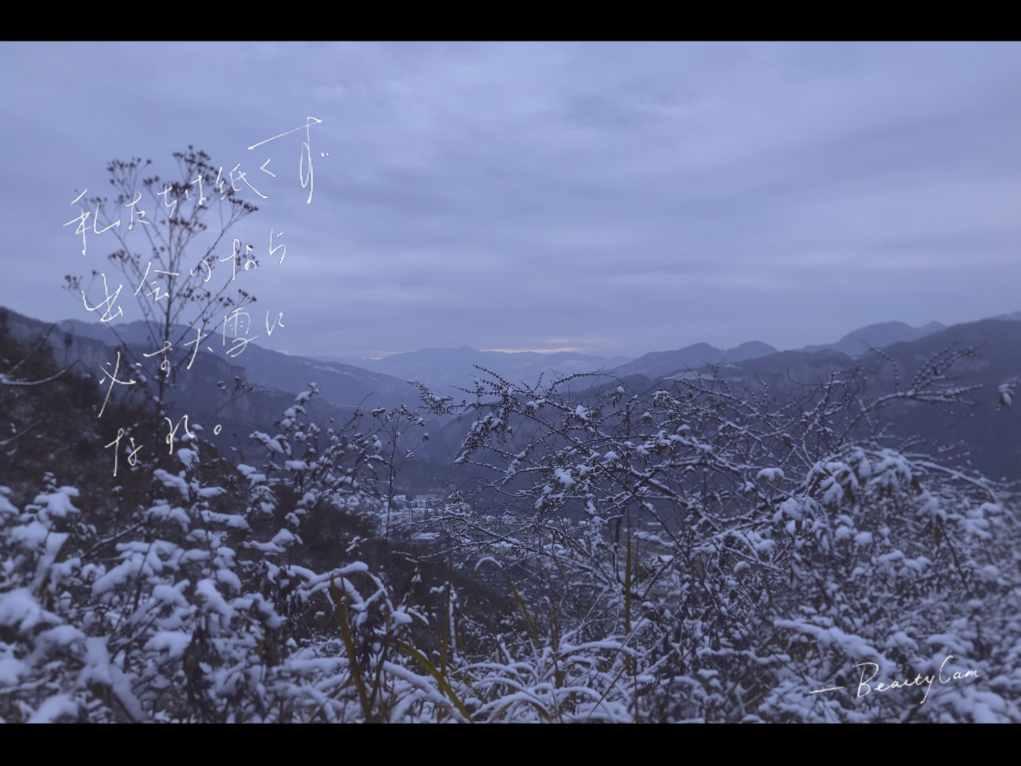 孙中山逝世不到半年，何香凝目睹丈夫廖仲恺被刺